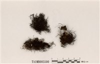 藏品(綠樹髮)的圖片